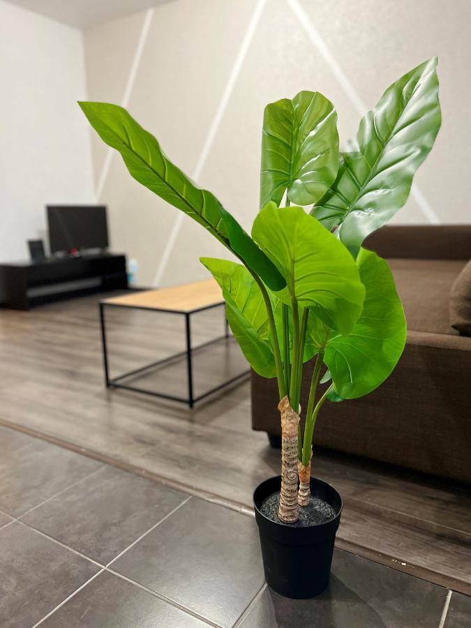Apartament Cosy 0 , Mulhouse Centre Zewnętrze zdjęcie
